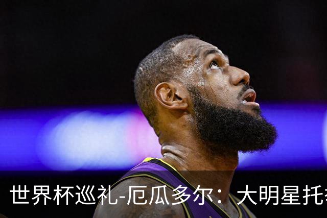 世界杯巡礼-厄瓜多尔：大明星托举小角色，高原雄鹰前景可期！